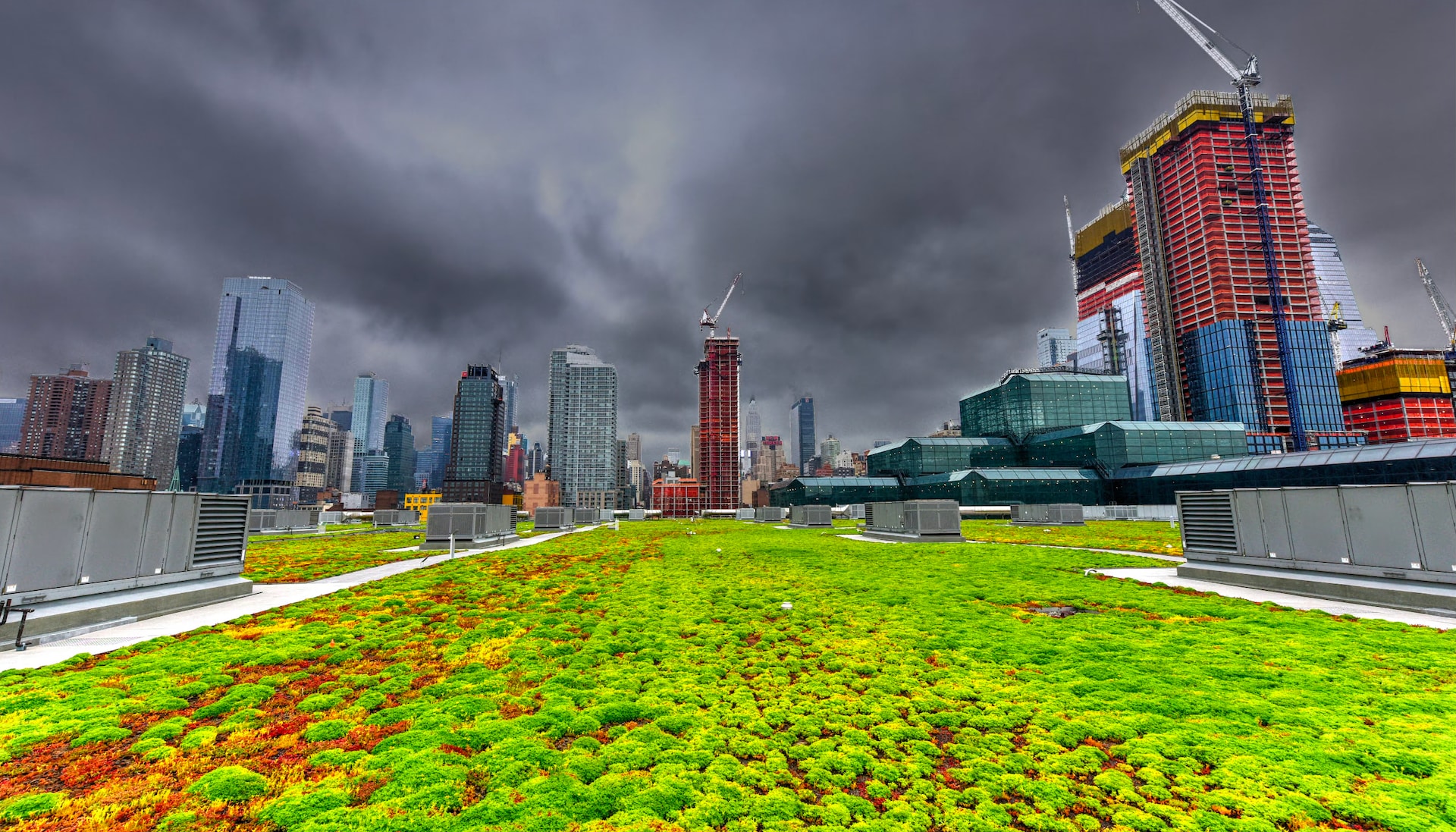 A commercial roof with vegetation, representing a blue roof, in a city of skyscrapers with a storm in the sky.